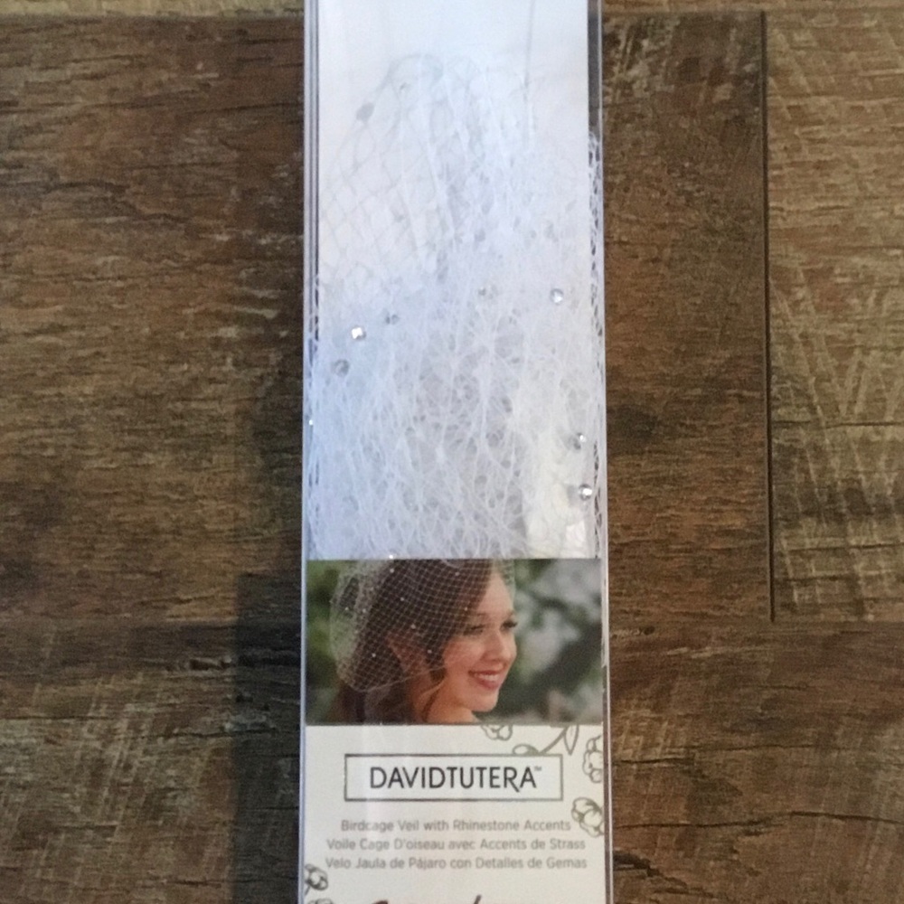 White Bird Cage Bridal Veil